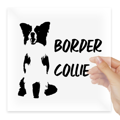 Наклейка Border collie