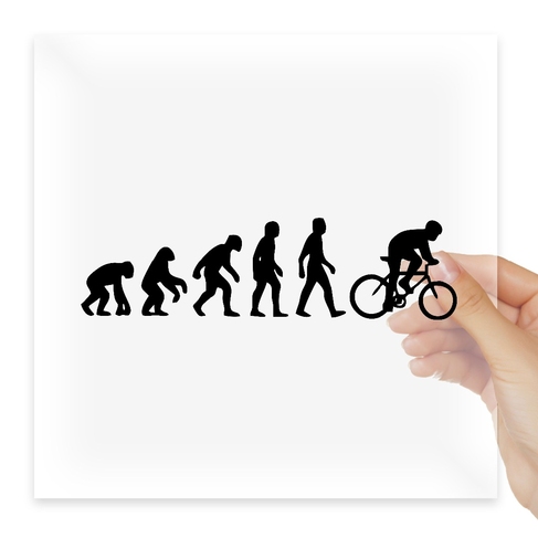 Наклейка Cyclist Evolution