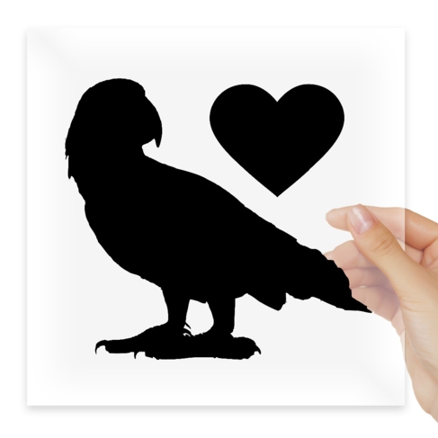 Наклейка African Grey parrot with heart