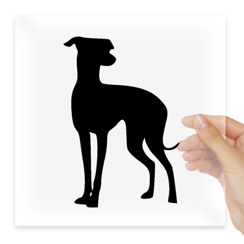 Наклейка Greyhound Dog