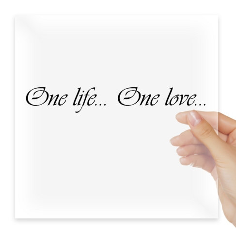 Наклейка One Life - One Love