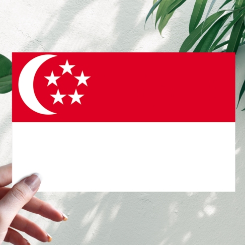 Наклейка Флаг Сингапура